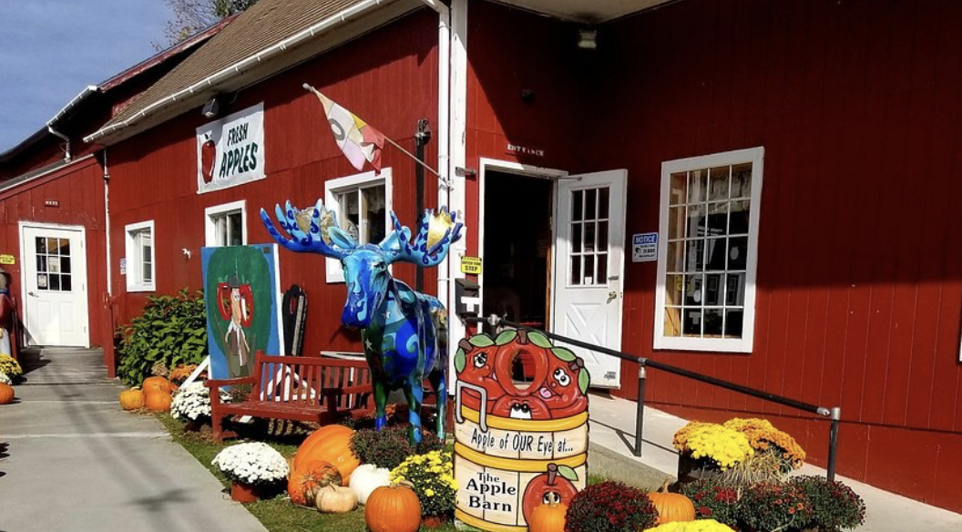 Snapshot from The Apple Barn / Southern Vermont Orchards