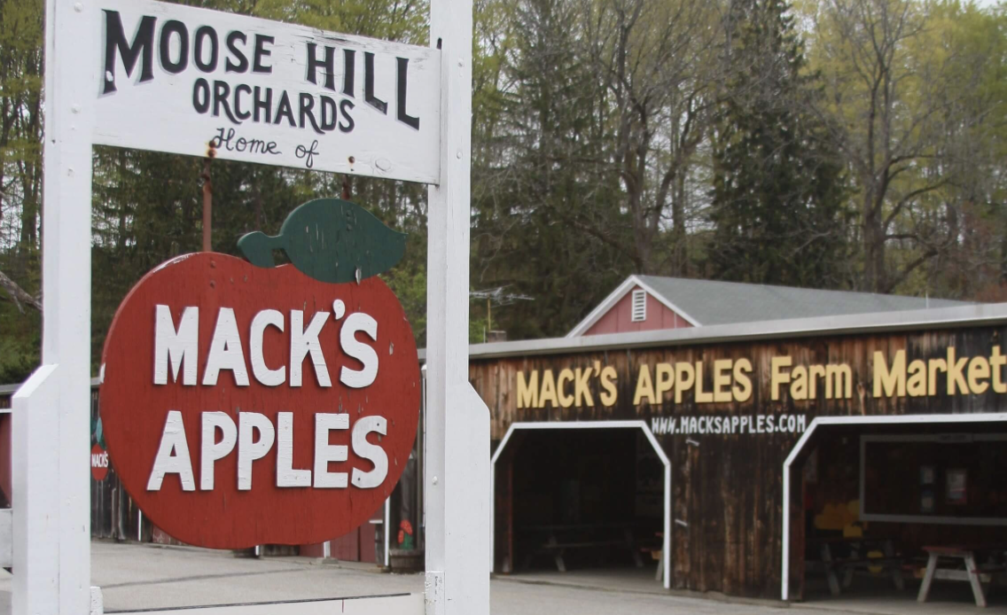 Snapshot from Mack's Apples