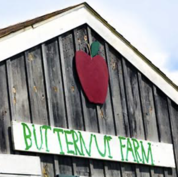 Snapshot from Butternut Farm