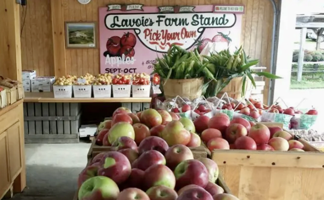 Snapshot from Lavoie's Farm