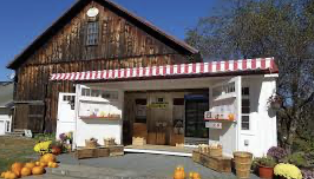 Snapshot from Small Ones Farm