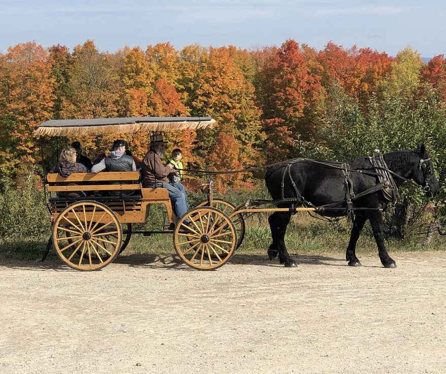 Snapshot from Gould Hill Farm