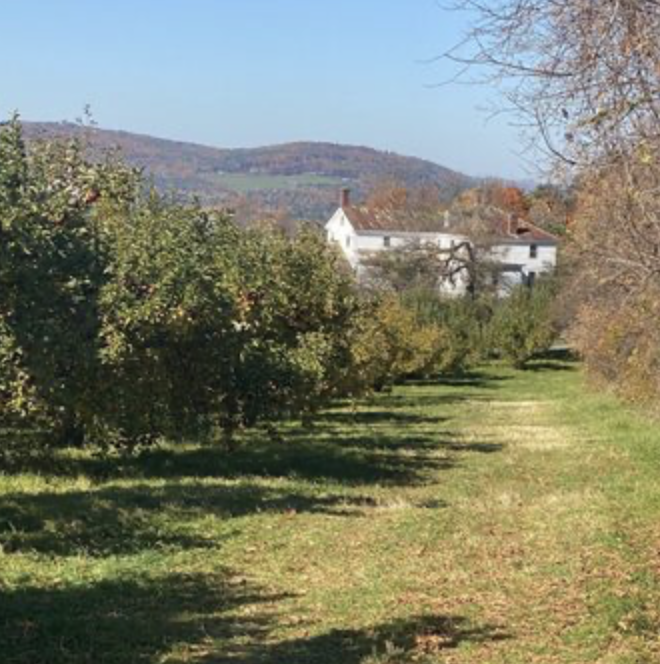 Snapshot from Poverty Lane Orchards / Farnum Hill Ciders