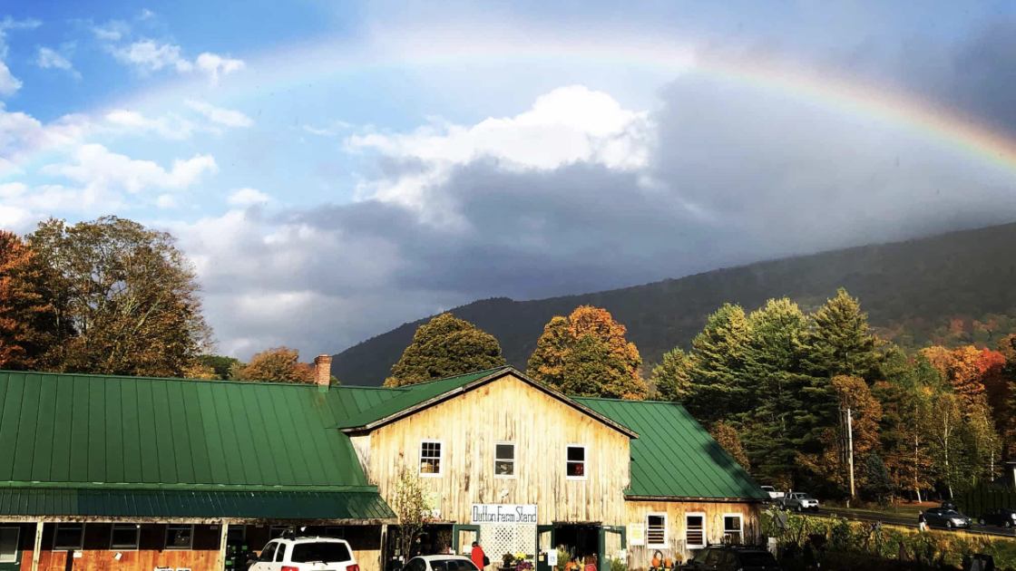 Snapshot from Dutton Berry Farm