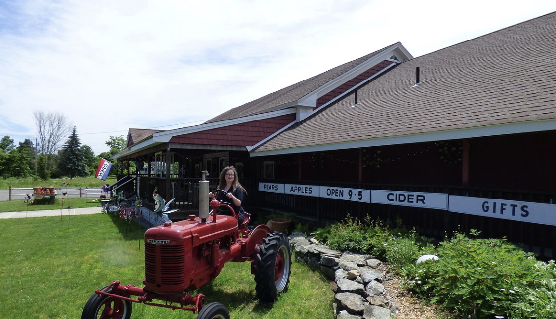 Snapshot from Westward Orchards
