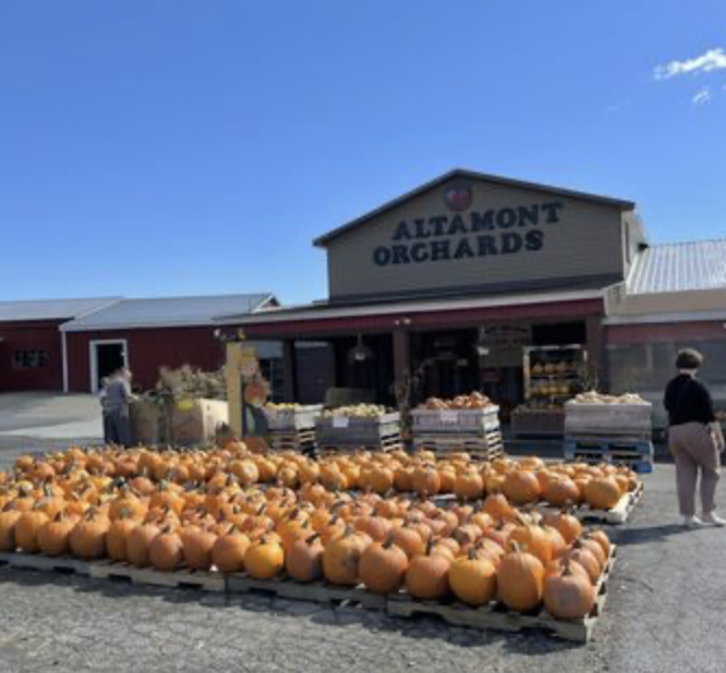 Snapshot from Altamont Orchards